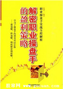 解密职业操盘手的盈利策略pdf下载