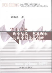 货币市场利率结构、基准利率与利率衍生品创新PDF下载