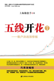 五线开花7 散户决战涨停板(高彩)PDF下载
