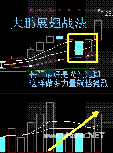 大鹏展翅战法