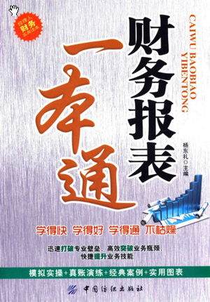 财务报表一本通PDF 杨东礼 著