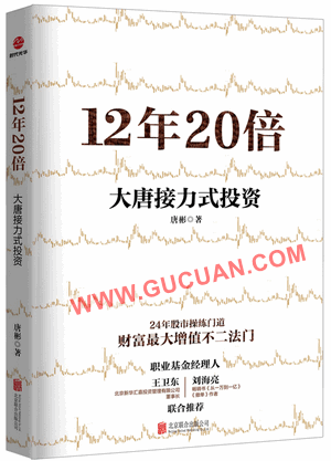 12年20倍：大唐接力式投资 EPUB