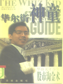 华尔街神童PDF下载