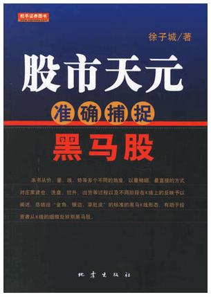 股市天元：准确捕捉黑马股pdf下载/徐子城