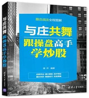 与庄共舞 跟操盘高手学炒股pdf下载