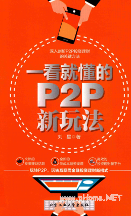 一看就懂的P2P新玩法pdf下载/刘星