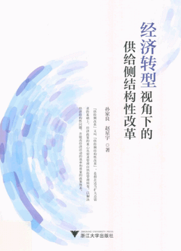 经济转型视角下的供给侧结构性改革pdf下载