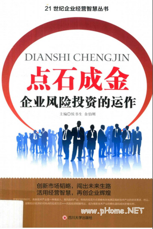点石成金 企业风险投资的运作PDF