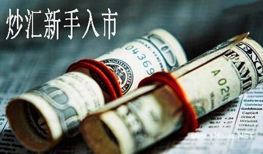 炒汇新手须遵守的准则