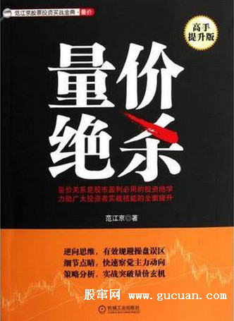 量价绝杀 高手提升版pdf下载