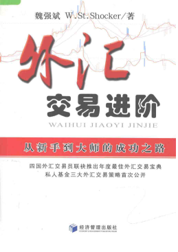 外汇交易进阶 从新手到大师的成功之路pdf下载/魏强斌
