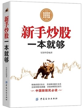 新手炒股一本就够pdf下载