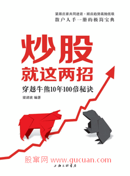 炒股就这两招 穿越牛熊10年100倍秘诀pdf下载