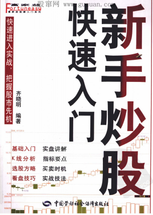 新手炒股快速入门pdf下载(高清)