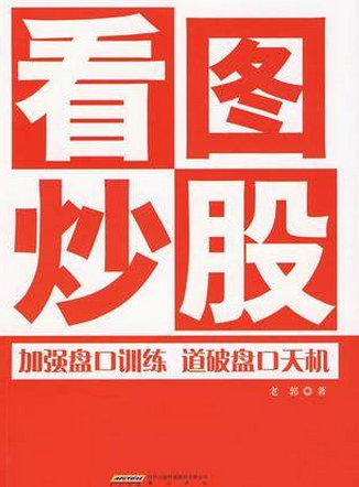 看图炒股：加强盘口训练道破盘口天机pdf下载