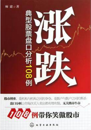 涨跌 典型股票盘口分析108例pdf下载（师建）