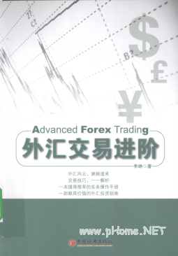 外汇交易进阶pdf下载/季峥