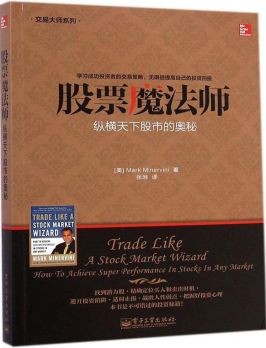 《股票魔法师：纵横天下股市的奥秘》PDF下载