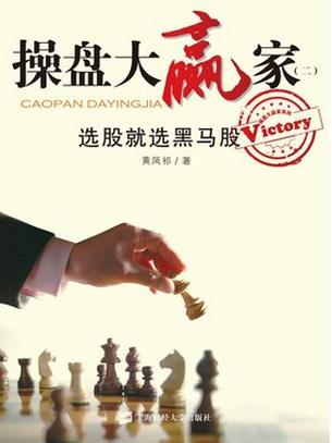 操盘大赢家2：选股就选黑马股pdf下载