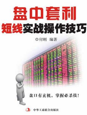 盘中套利：短线实战操作技巧pdf下载