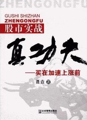 股市实战真功夫：买在加速上涨前pdf下载