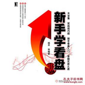 新手学看盘大全集pdf下载