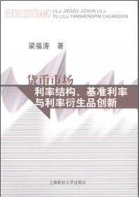 货币市场利率结构、基准利率与利率衍生品创新PDF下载
