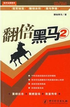 翻倍黑马2pdf下载
