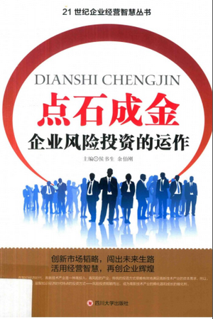 点石成金 企业风险投资的运作PDF
