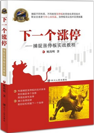 下一个涨停：捕捉涨停板实战教程pdf下载(高清)