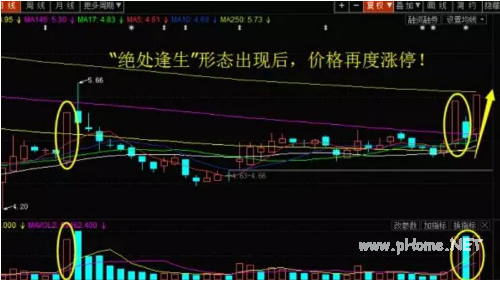 “绝处逢生”形态捕捉涨停