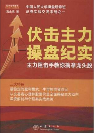 伏击主力操盘纪实pdf下载