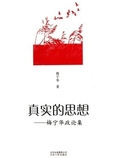 真实的思想 梅宁华政论集pdf下载