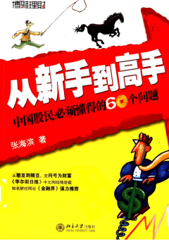 从新手到高手:中国股民必须懂得的60个问题pdf下载/张海滨