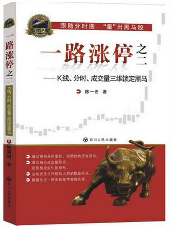 一路涨停2(K线、分时、成交量三维锁定黑马)pdf下载