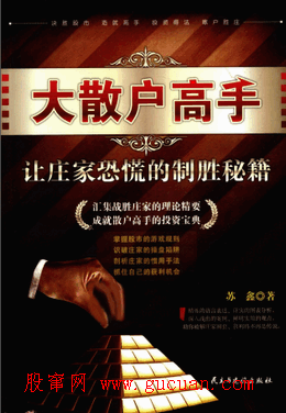 大散户高手 让庄家恐慌的制胜秘籍(高清)pdf下载