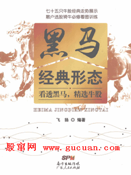 黑马经典形态 看透黑马，精选牛股pdf下载