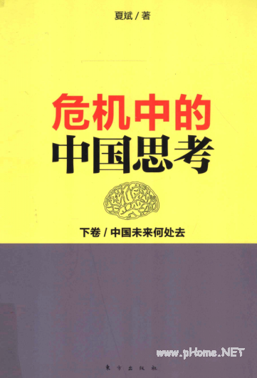 危机中的中国思考 下 中国未来何处去pdf下载