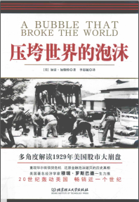 压垮世界的泡沫PDF下载