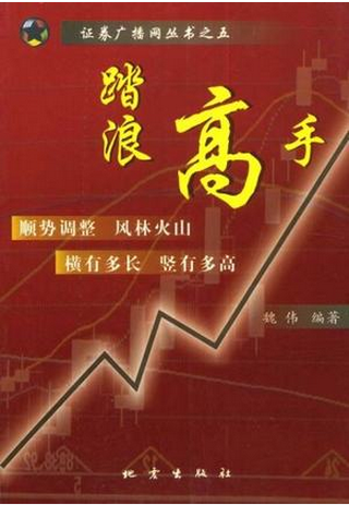 踏浪高手pdf下载