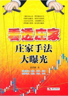 看透庄家:庄家手法大曝光pdf下载