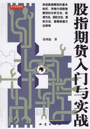 股指期货入门与实战/张鸿儒pdf下载