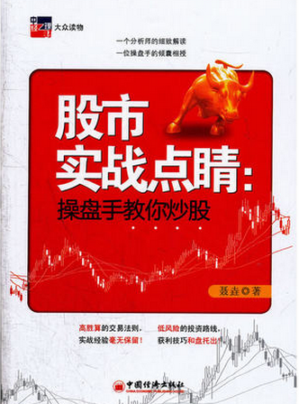 股市实战点睛：操盘手教你炒股pdf下载