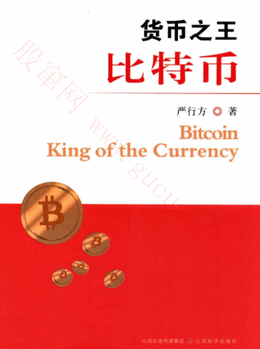 货币之王比特币/严行方pdf下载