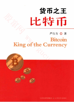 货币之王比特币pdf下载