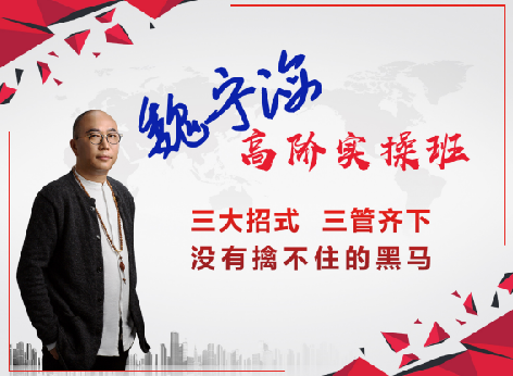 魏宁海高阶实操班 三大招式 三管齐下 没有擒不住的黑马 PDF下载