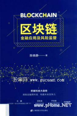 区块链 金融应用及风险监管pdf下载/陈晓静