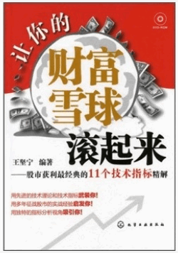 让你的财富雪球滚起来 股市获利最经典的11个技术指标精解pdf下载