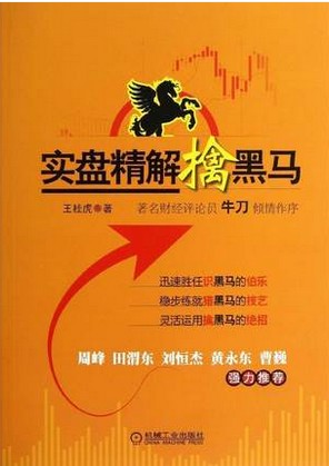 实盘精解擒黑马pdf下载