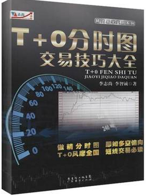 T+0分时图交易技巧大全pdf下载(高清)